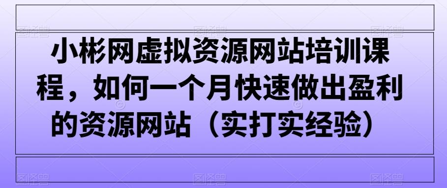 小彬网虚拟资源网站培训课程，如何一个月快速做出盈利的资源网站(实打实经验)-卿云社