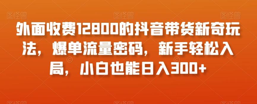 外面收费12800的抖音带货新奇玩法，爆单流量密码，新手轻松入局，小白也能日入300+【揭秘】-卿云社