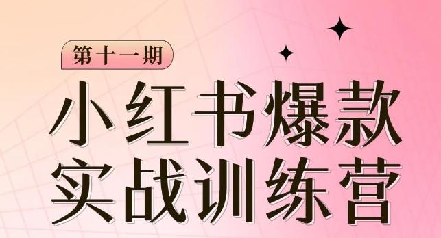 小红书博主爆款训练营第11期，手把手教你从0-1做小红书，从定位到起号到变现-卿云社
