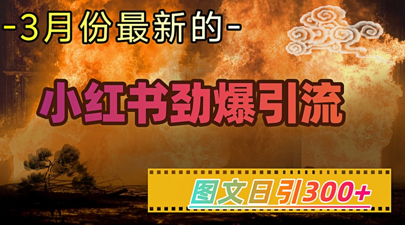 小红书超劲爆引流手段，图文日引300+轻松变现1W-卿云社