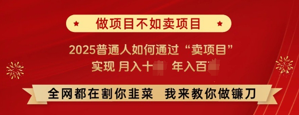 必看，做项目不如卖项目，2025普通人如何通过“卖项目”实现月入十个，年入百个-卿云社