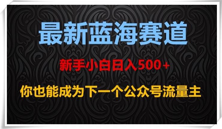 最新蓝海赛道，新手小白日入500+，你也能成为下一个公众号流量主【揭秘】-卿云社