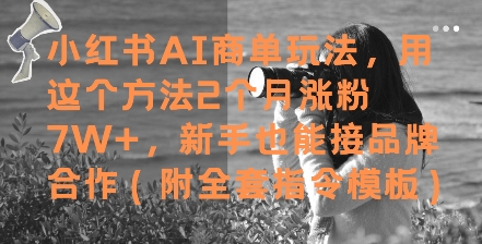 小红书AI商单玩法，用这个方法2个月涨粉7W+，新手也能接品牌合作(附全套指令模板)-卿云社
