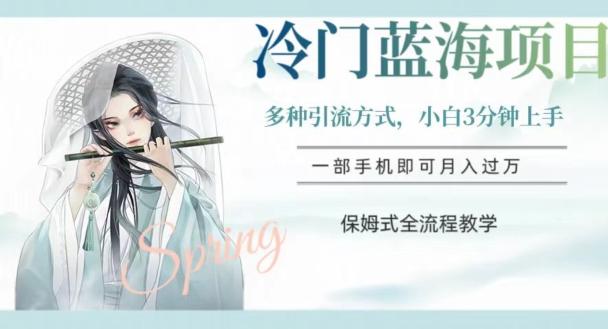 冷门蓝海项目，操作简单，小白3分钟上手，多种引流方式，保姆式全流程教学【揭秘】-卿云社