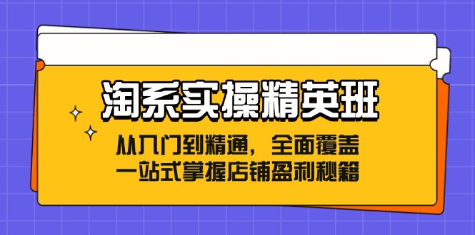 淘系实操精英班：从入门到精通，全面覆盖，一站式掌握店铺盈利秘籍-卿云社