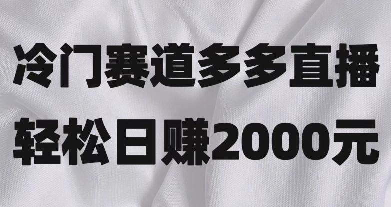 冷门赛道拼多多直播，简单念稿子，日收益2000＋【揭秘】-卿云社