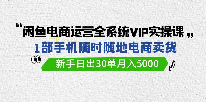 (9547期)闲鱼电商运营全系统VIP实战课，1部手机随时随地卖货，新手日出30单月入5000-卿云社