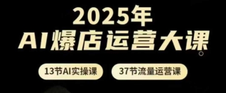 2025年AI爆店运营大课，13节AI实操课+37节流量运营课-卿云社