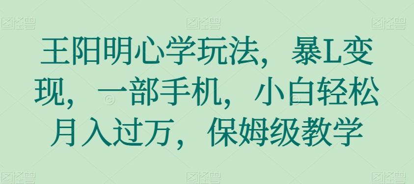 王阳明心学玩法，暴L变现，一部手机，小白轻松月入过万，保姆级教学【揭秘】-卿云社