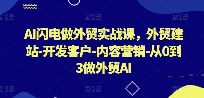 AI闪电做外贸实战课，​外贸建站-开发客户-内容营销-从0到3做外贸AI-卿云社
