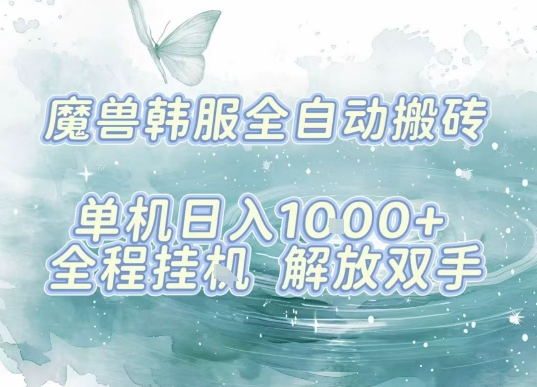 最新韩服游戏搬砖，单机日入1k+，全自动运行挂G项目，解放双手【揭秘】-卿云社