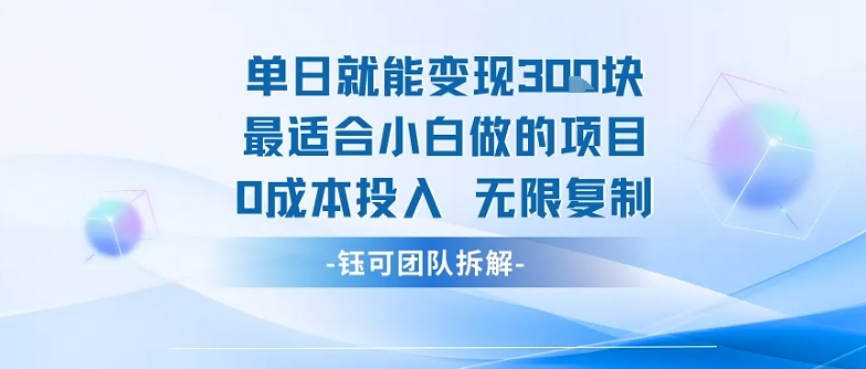 单日就能变现3张最适合小白做的项目0成本投入 无限复制-卿云社