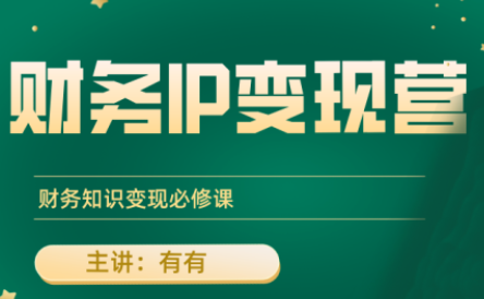 有有老师·财务IP变现营，财务知识变现必修课-卿云社