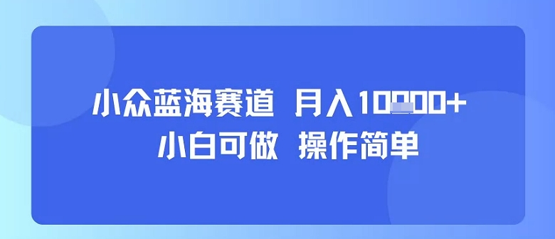 小众蓝海赛道，小白可做，操作简单，每天30分钟，月入1W+-卿云社