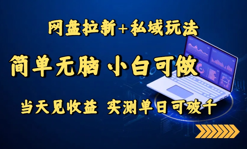 网盘拉新+私域玩法，简单无脑，小白可做，当天见收益，实测单日可破千-卿云社