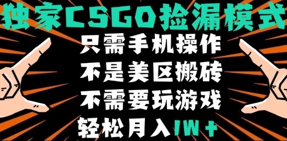 CSGO自动捡漏项目，最新独家玩法，不是美区搬砖，不需要了解和玩游戏，新手小白轻松月入1W+【揭秘】-卿云社