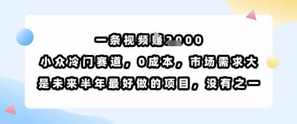一条视频挣1k，小众冷门赛道，0成本，市场需求大，是未来半年最好做的项目，没有之一-卿云社