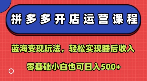 拼多多开店运营课程：蓝海变现玩法，轻松实现睡后收入，零基础小白也可日入5张-卿云社