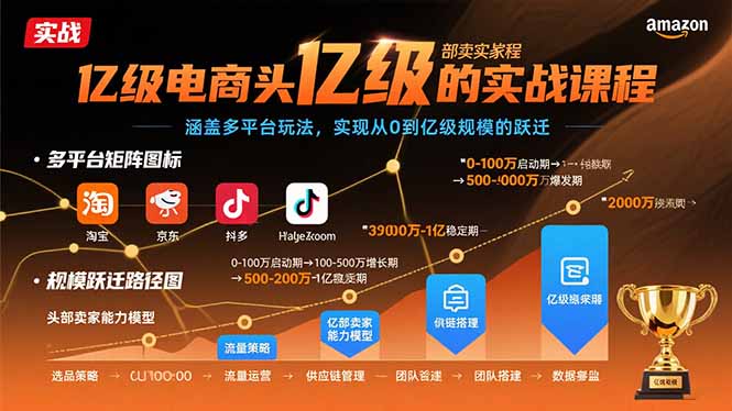 亿级电商头部卖家的实战课程：涵盖多平台玩法，实现从0到亿级规模的跃迁-卿云社