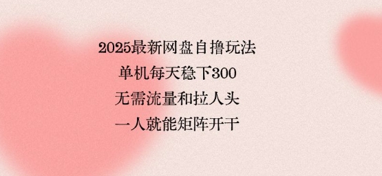 2025最新网盘自撸玩法，单机每天稳下3张，无需流量和拉人头，一个人就可轻松矩阵，全网独一份【揭秘】-卿云社