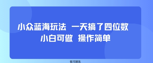 小众蓝海玩法 一天搞了四位数 小白可做 操作简单-卿云社