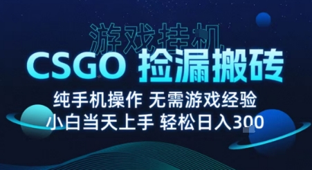8月最新游戏搬砖，CSGO纯挂G，不需要玩游戏，实现真挂G，月入1W+【揭秘】-卿云社