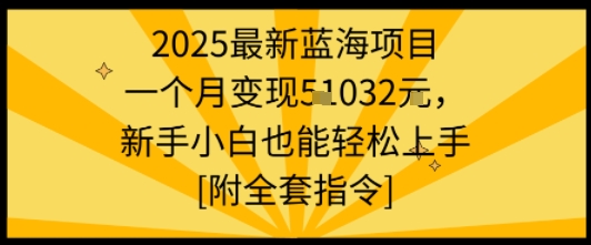 2025最新蓝海项目一个月变现1w+新手小白也能轻松上手【附全套指令】-卿云社
