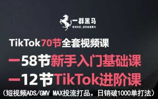 TikTok全套视频课，新手入门+进阶课，短视频ADS-GMV MAX投流打品，日销破1000单打法-卿云社