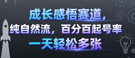 成长感悟赛道，纯自然流，百分百起号率 一天轻松多张-卿云社