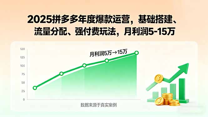 2025拼多多年度爆款运营，基础搭建、流量分配、强付费玩法，月利润5-15万-卿云社