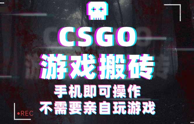 CSGO游戏挂机捡漏，单日扫货500+，年底小高峰上车可吃肉，手机即可操作…-卿云社