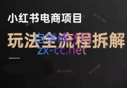 菲菲老师·小红书电商玩法(更新9月)-卿云社