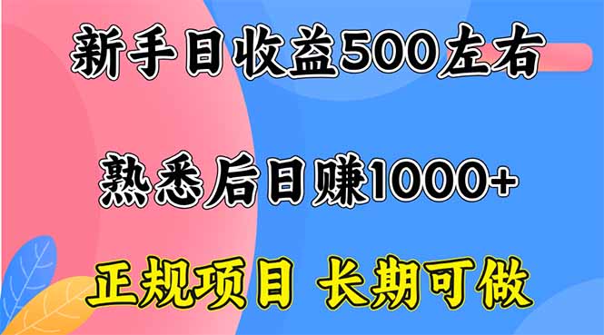 新手日收益500+ 正规项目 长期可做-卿云社