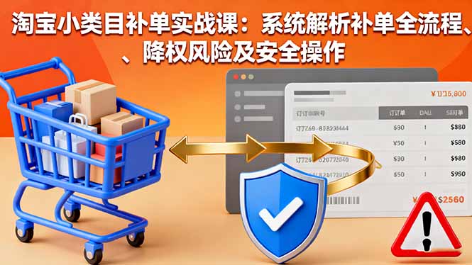 淘宝小类目补单实战课：系统解析补单全流程、降权风险及安全操作-卿云社