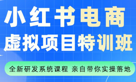 陆明明·小红书虚拟项目特训班(更新9月)-卿云社