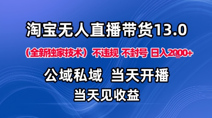 淘宝无人直播13.0，公域私域技术，不封号，不违规布局下半年旺季赛道，日入1K+(独家技术)【揭秘】-卿云社