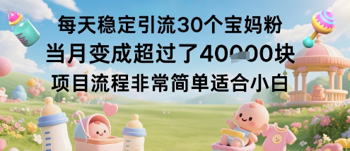 每天稳定引流30个宝妈粉当月变成超过了1W+项目流程非常简单适合小白-卿云社