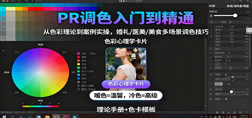 PR调色入门到精通：从色彩理论到案例实操，婚礼/医美/美食多场景调色技巧-卿云社
