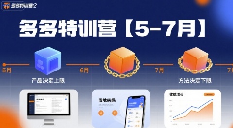 多多特训营，产品决定上限，方法决定下限，各种玩法技巧落地实操(更新)-卿云社