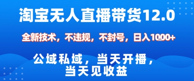 淘宝无人直播12.0，公域私域技术，不封号，不违规布局双十一流量风口，日入1k(独家技术)【揭秘】-卿云社