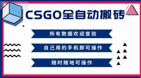 CSGO全自动搬砖，年底钱回家好项目，当天可拿到结果，新手小白轻松月入1W+【揭秘】-卿云社