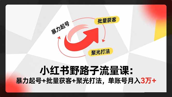 小红书野路子流量课：暴力起号+批量获客+聚光打法，单账号月入3万+-卿云社