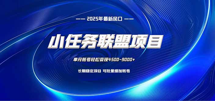 小任务联盟项目：一台电脑每天只需10分钟，轻松简单稳定-卿云社