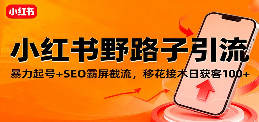 小红书野路子引流，暴力起号+SEO霸屏截流，移花接木日获客100+-卿云社