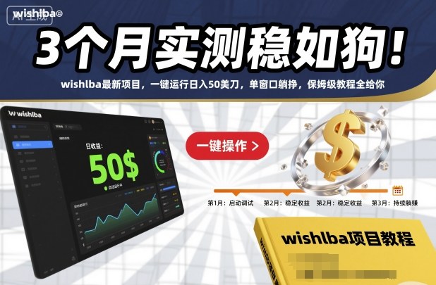 3个月实测稳如狗！wishlba最新项目，一键运行日入50美刀，单窗口躺挣，保姆级教程全给你【揭秘】-卿云社