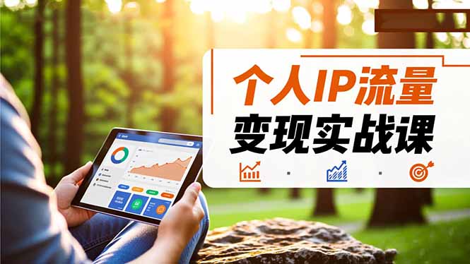 个人IP流量变现实战课，涵盖多平台引流、打造个人IP并实现稳定流量变现-卿云社