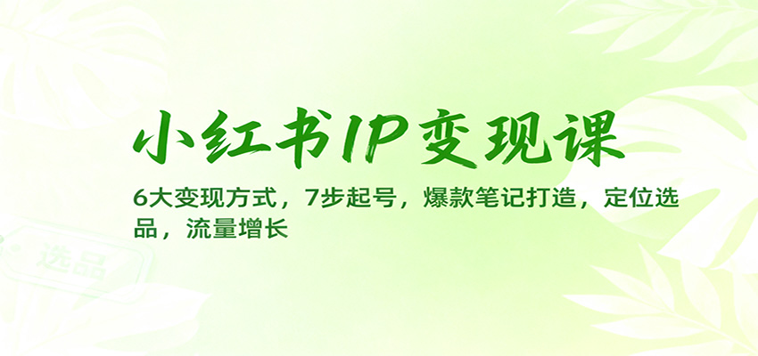 小红书IP变现课：6大变现方式，7步起号，爆款笔记打造，定位选品，流量增长-卿云社