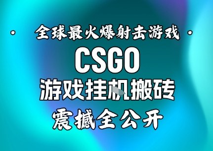 【年底大揭秘】基于全球最火爆的射击CSGO游戏挂G搬砖，日入5张+，震撼公开-卿云社