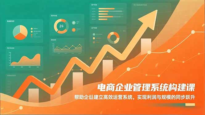 电商企业管理系统构建课：帮助企业建立高效运营系统，实现利润与规模的同步跃升-卿云社