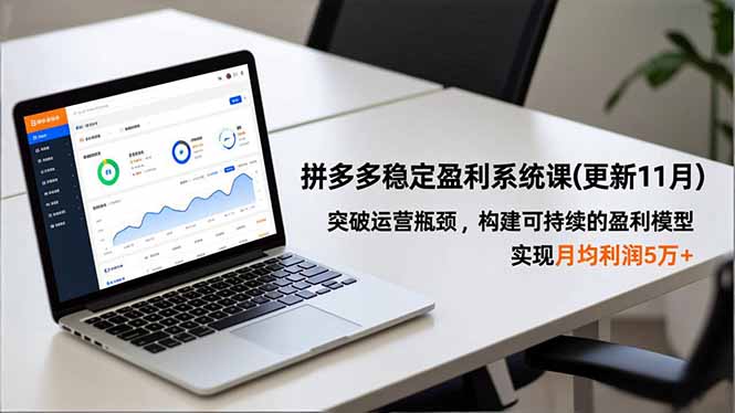 拼多多稳定盈利系统课(更新11月-卿云社